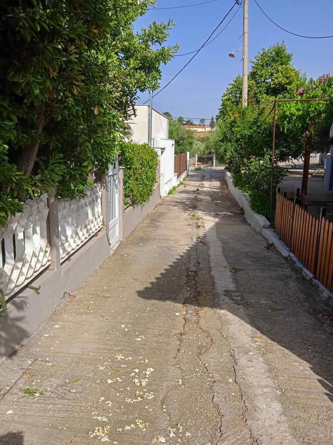 Κυανή Ακτή - Agia Paraskevi 马克里 外观 照片