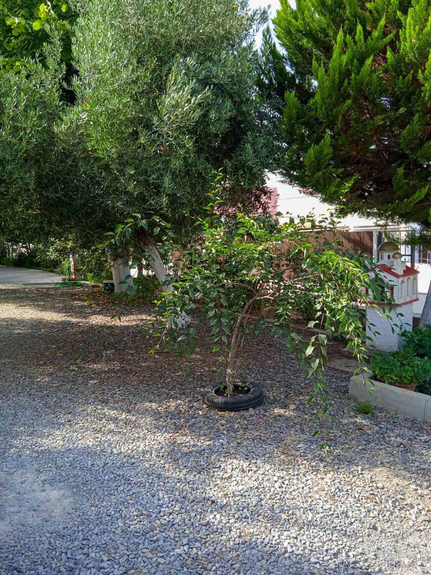 Κυανή Ακτή - Agia Paraskevi 马克里 外观 照片